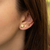 Сет Обеци Елеганс 6 бр в 2 Цвята